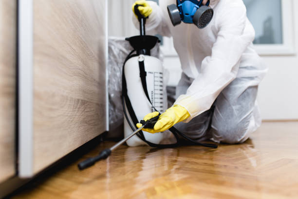 Reliable Knob Noster, MO Pest Control Solutions