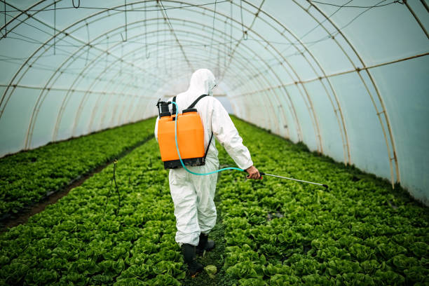 Best Pest Control Near Me in Knob Noster, MO