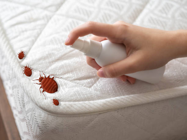 Best Pest Control Treatment  in Knob Noster, MO