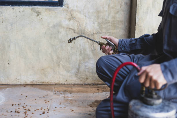 Best Pest Control Near Me  in Knob Noster, MO